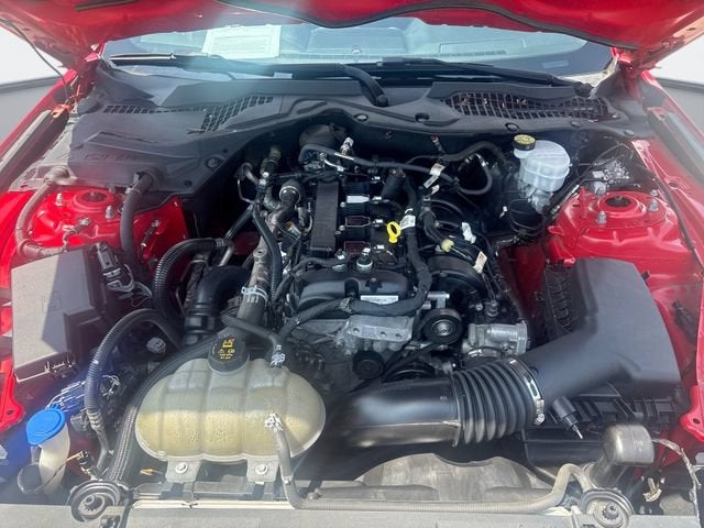 2021 Ford Mustang EcoBoost
