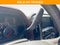 2015 Chevrolet Silverado 3500 HD High Country