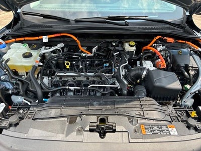 2024 Ford Escape PHEV